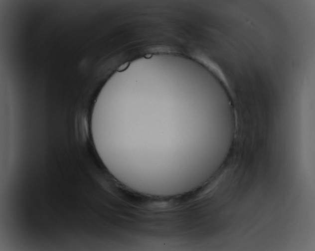 X0000096980061200802080907