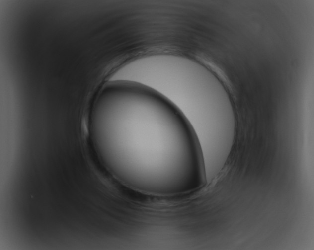 X0000096980062200802080907