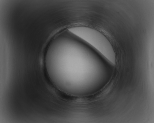 X0000096980064200802080907