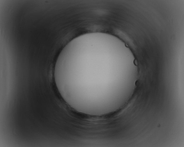 X0000096980065200802080907
