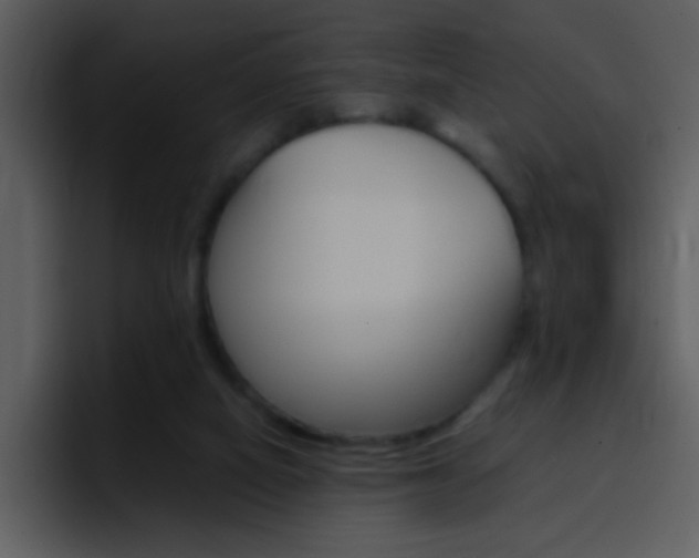 X0000096980066200802080907