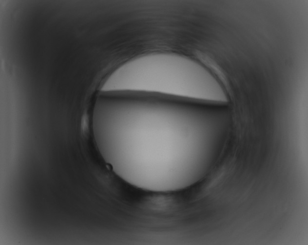 X0000096980067200802080907