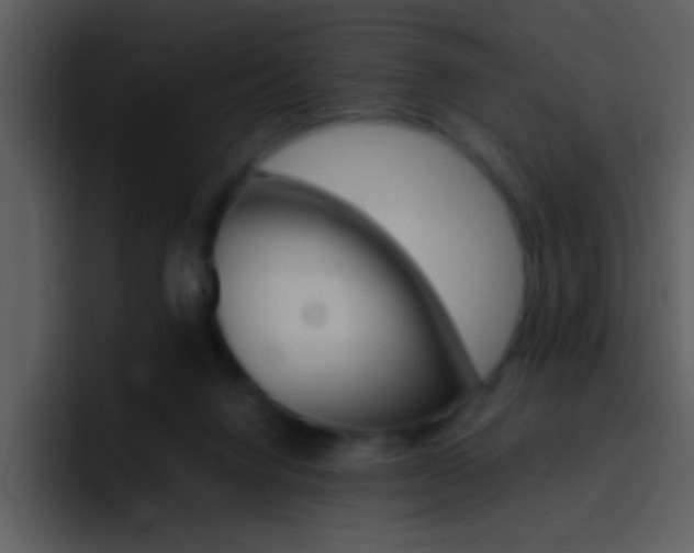 X0000096980072200802080907