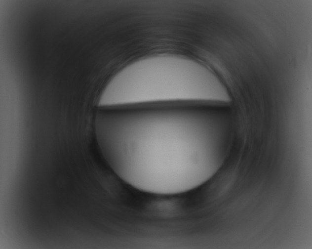 X0000096980073200802080907