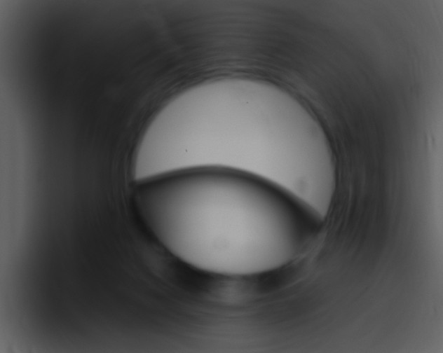 X0000096980074200802080908