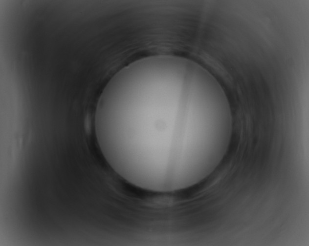X0000096980075200802080908