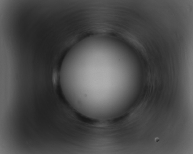 X0000096980076200802080908