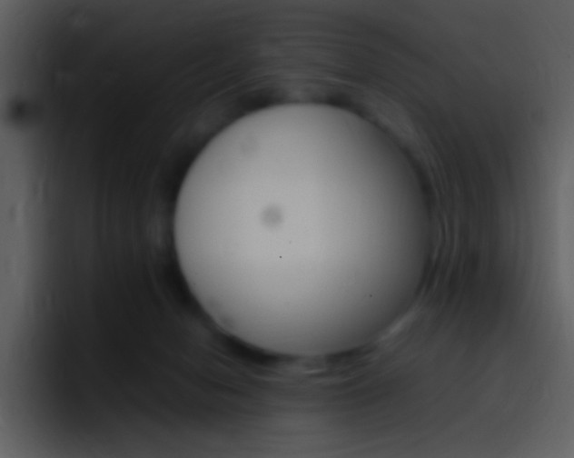 X0000096980078200802080908