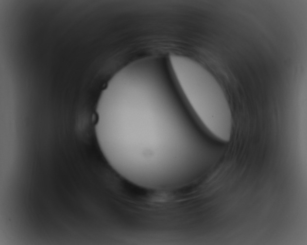 X0000096980079200802080908