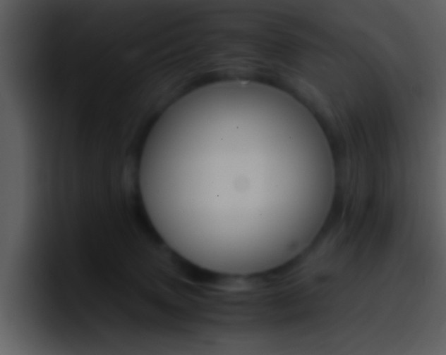 X0000096980083200802080908