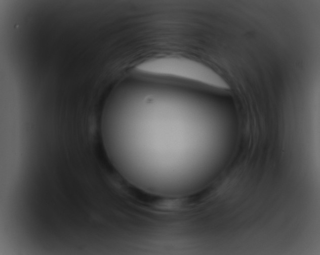 X0000096980084200802080908