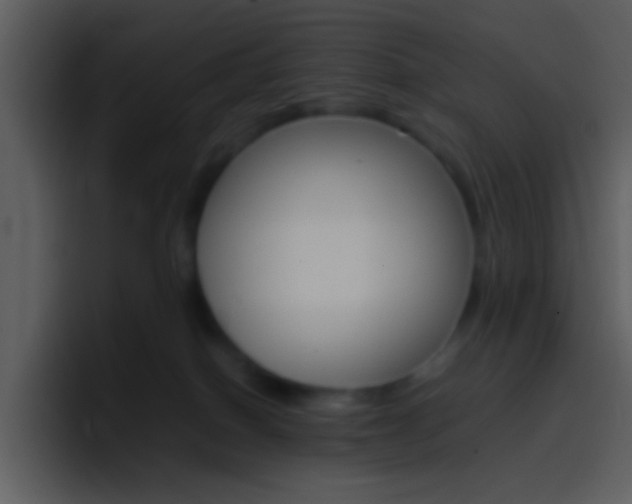 X0000096980086200802080908