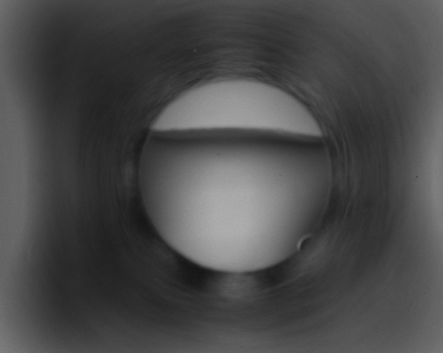 X0000096980087200802080908