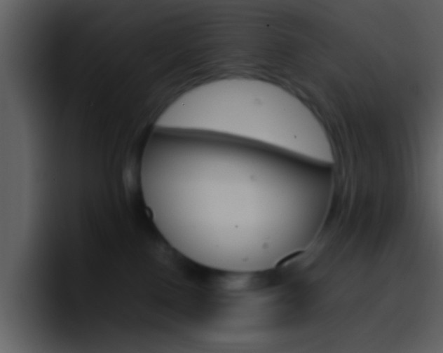 X0000096980090200802080908