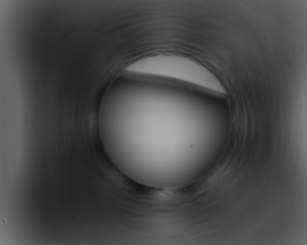 X0000096980092200802080908