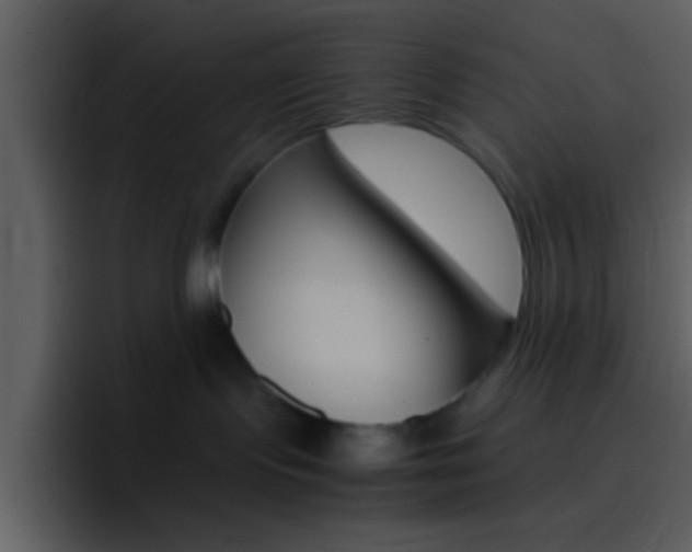 X0000096980095200802080908