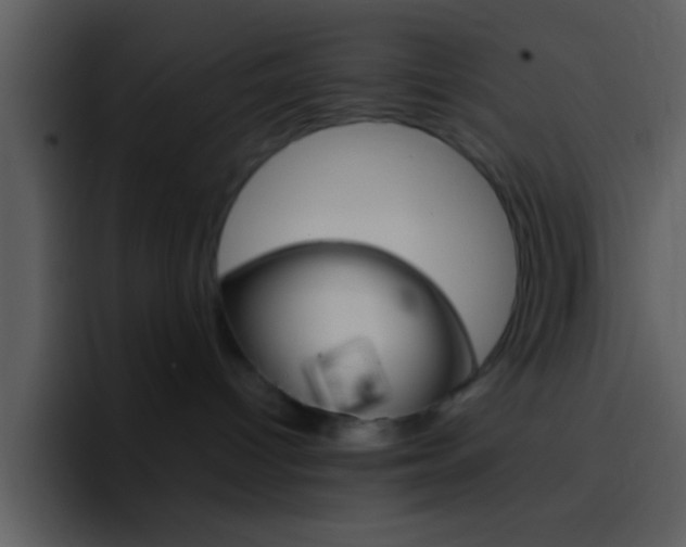 X0000096980096200802080908