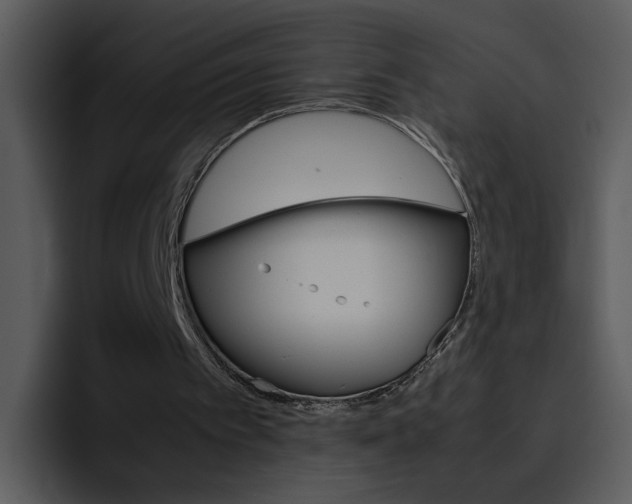 X0000096980097200802080907