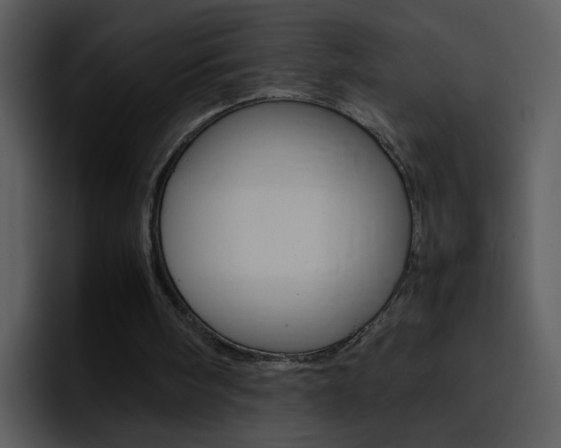 X0000096980098200802080907