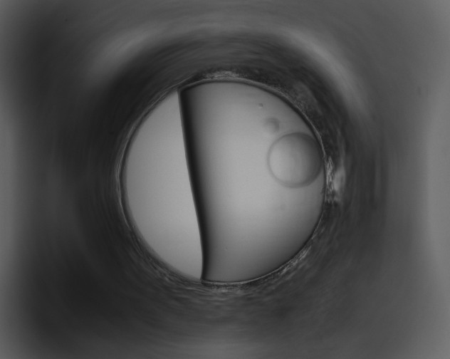 X0000096980099200802080907
