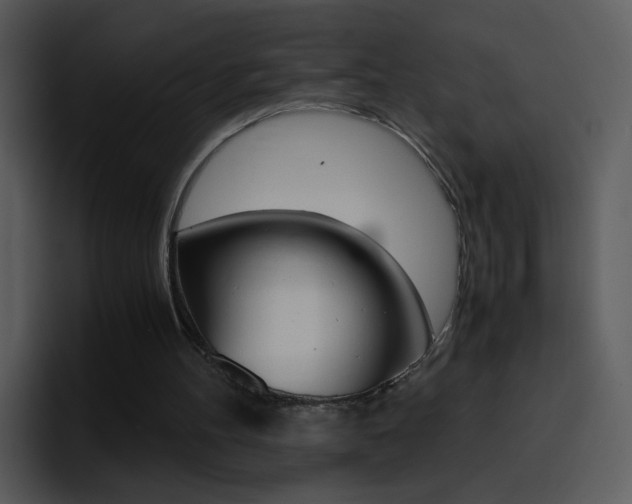 X0000096980100200802080907