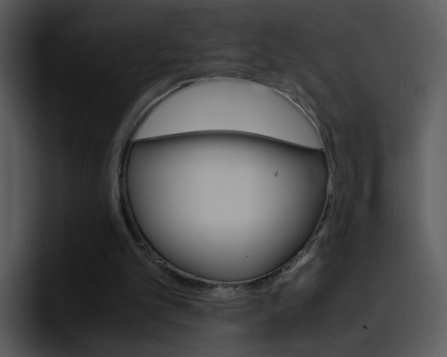 X0000096980101200802080907