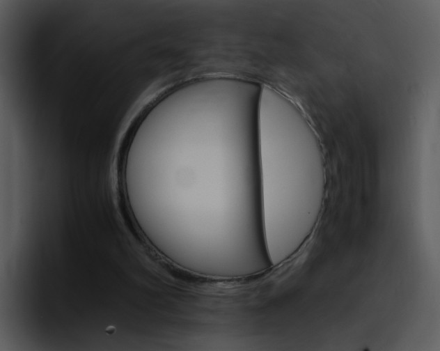 X0000096980102200802080907