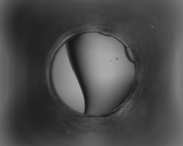 X0000096980103200802080907
