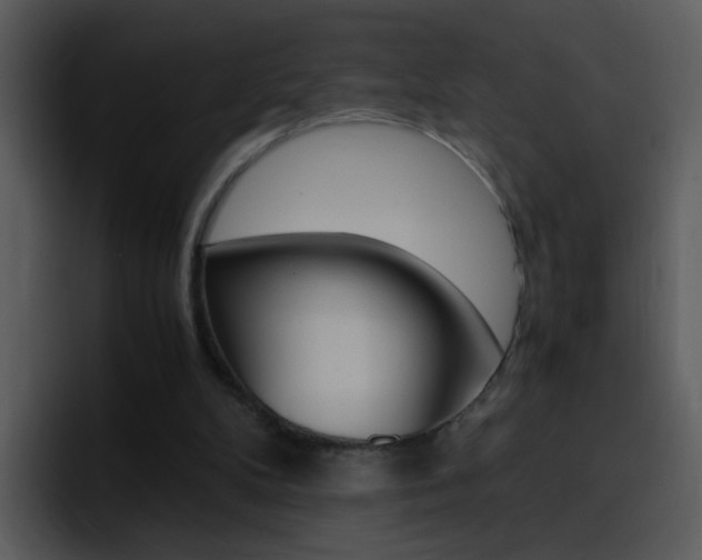X0000096980104200802080907