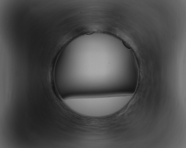 X0000096980105200802080907