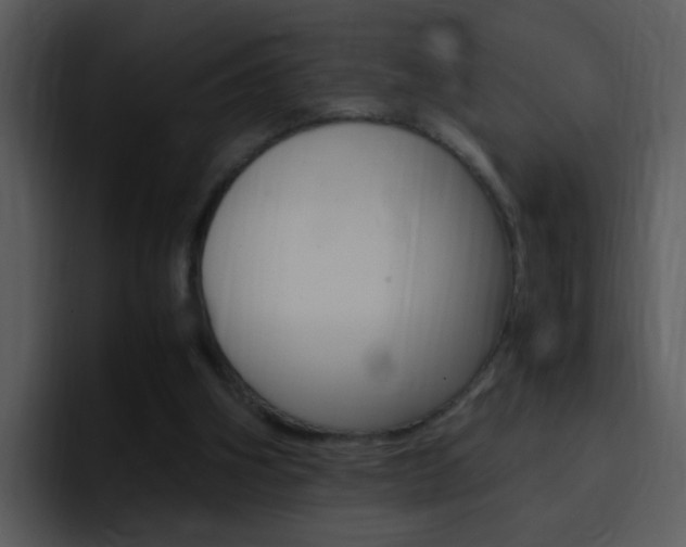 X0000096980106200802080907