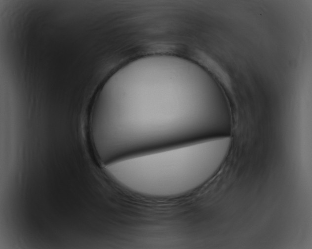 X0000096980107200802080907