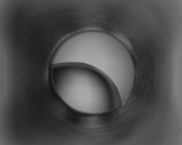X0000096980108200802080907