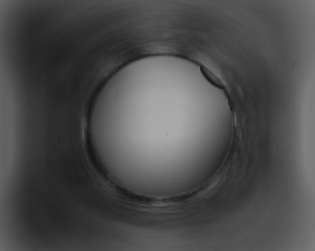 X0000096980109200802080907