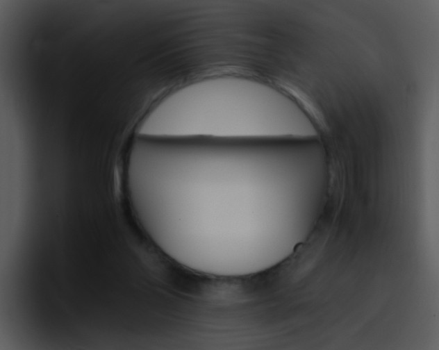 X0000096980110200802080907
