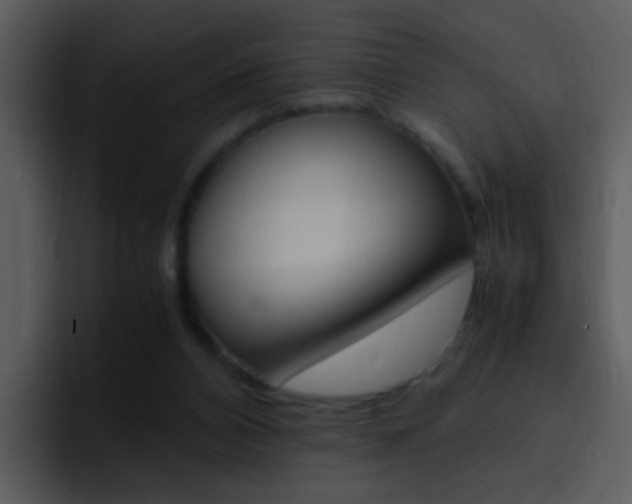 X0000096980112200802080907