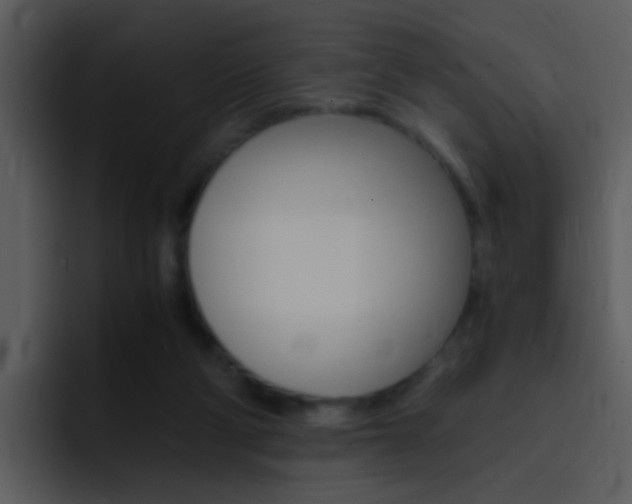 X0000096980114200802080907