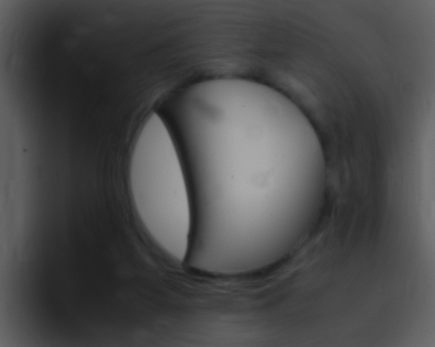 X0000096980115200802080907