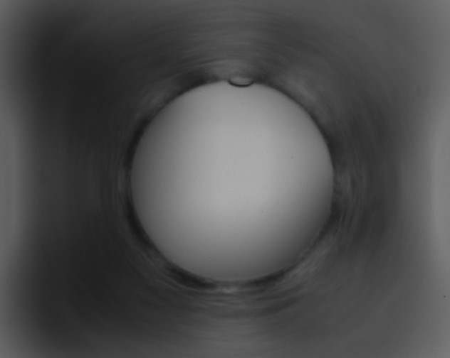 X0000096980117200802080907