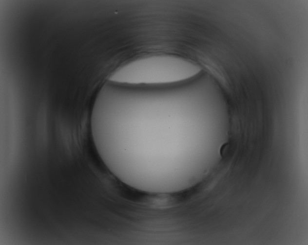 X0000096980118200802080907
