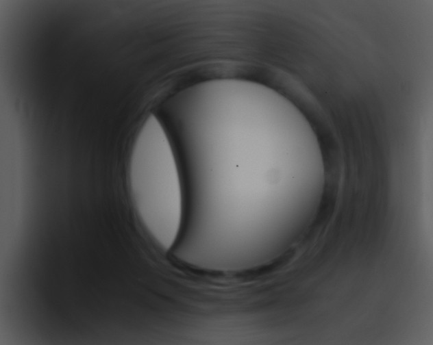 X0000096980119200802080907