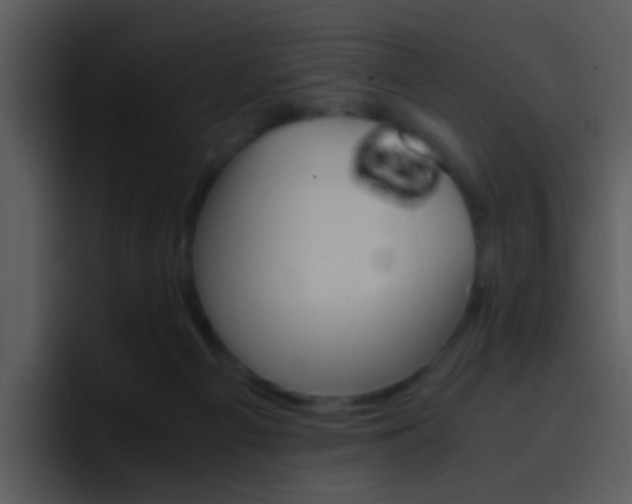 X0000096980121200802080907