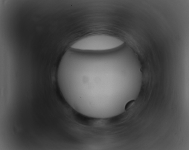 X0000096980122200802080907