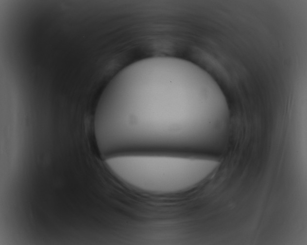 X0000096980123200802080907