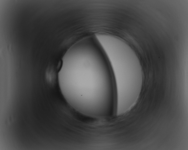 X0000096980124200802080907