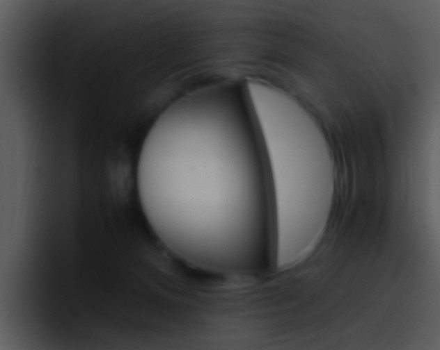 X0000096980128200802080907
