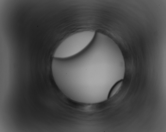 X0000096980130200802080907