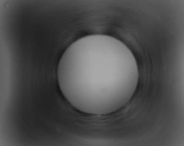 X0000096980131200802080907
