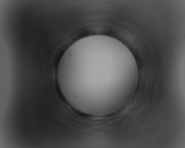 X0000096980135200802080907