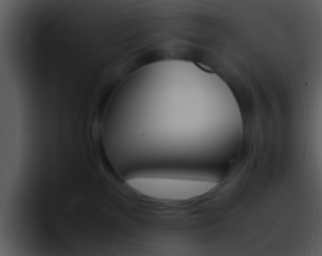 X0000096980137200802080907